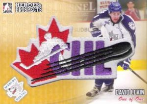 Heroes & Prospects Complete Logo Patch David Levin