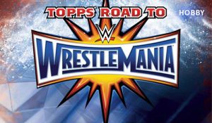 2017 Road to WrestleMania Banner 2017 Road to WrestleMania Banner