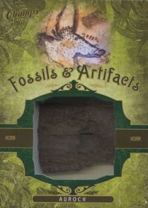 Fossils & Artifacts Horn