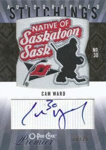 Premier Stitchings Auto Cam Ward