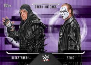 Dream Matches Undertaker vs Sting