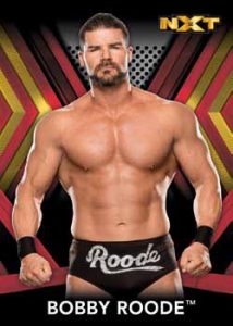 Base NXT Roster Bobby Roode