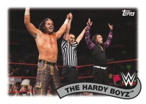Tag Teams and Stables The Hardy Boyz