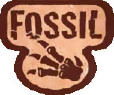 Generation 1 Fossil Logo