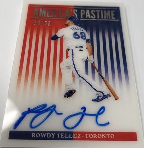 America's Pastime Auto Rowdy Tellez