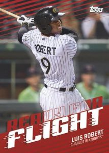 Ready for Flight Luis Robert