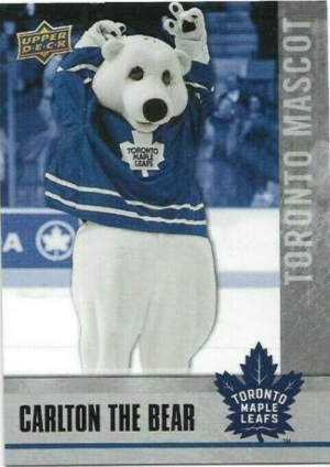 Mascots Carlton the Bear MOCK UP