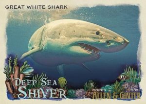 Deep Sea Shiver Great White Shark MOCK UP