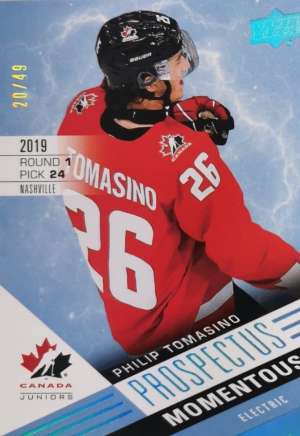 Prospectus Momentous Electric Blue Philip Tomasino Prospectus Momentous Electric Blue Philip Tomasino