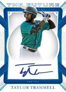 The Future Auto Taylor Trammell MOCK UP