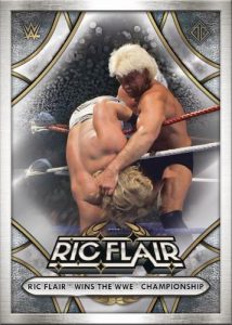 WWE Legends Tribute Ric Flair MOCK UP