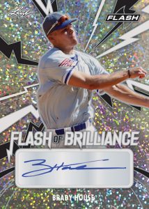 Flash of Brilliance Auto Brady House MOCK UP