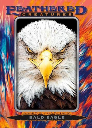 Feathered Creatures Manufactured Relics Bald Eagle MOCK UP Feathered Creatures Manufactured Relics Bald Eagle MOCK UP