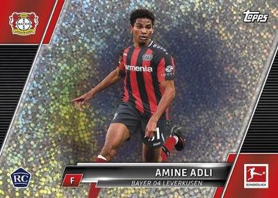 Base Foil Amine Adli MOCK UP