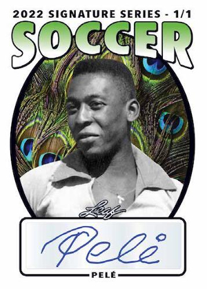 Base Auto Peacock Pele MOCK UP