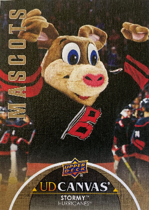 UD Canvas Mascots Stormy