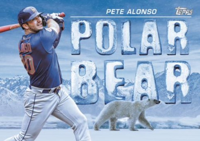 AKA Pete Alonso Polar Bear MOCK UP