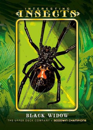 Interesting Insects Manufactured Patch Tier 5 Black Widow MOCK UP