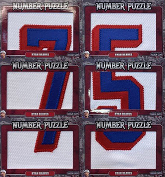 Number Puzzle Ryan Reaves MOCK UP