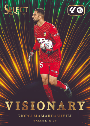 Visionary Giorgi Mamardashvili MOCK UP