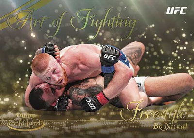 Art of Fighting Bo Nickal MOCK UP Art of Fighting Bo Nickal MOCK UP