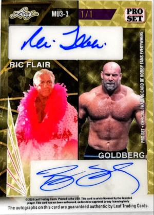 Multi Mash-Up 3 Gold Back Ric Flair, Goldberg