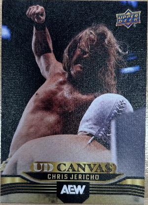 UD Canvas Chris Jericho UD Canvas Chris Jericho