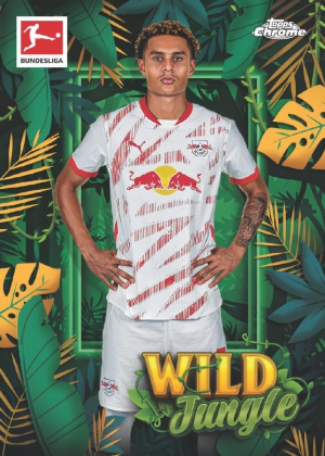 Wild Jungle MOCK UP Wild Jungle MOCK UP
