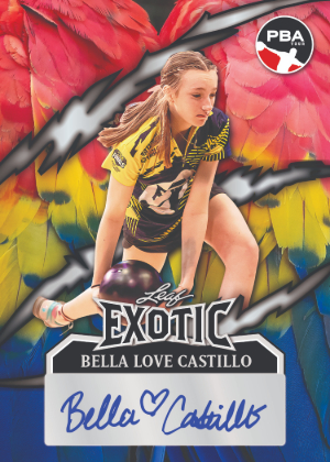 Exotic Parrot Bella Love Castillo MOCK UP Exotic Parrot Bella Love Castillo MOCK UP