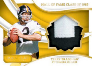 Immaculate HOF Jerseys Terry Bradshaw MOCK UP
