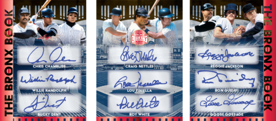 The Bronx Book Chris Chambliss, Willie Randolph, Bucky Dent, Graig Nettles, Lou Piniella, Roy White, Reggie Jackson, Ron Guidry, Goose Gossage MOCK UP The Bronx Book Chris Chambliss, Willie Randolph, Bucky Dent, Graig Nettles, Lou Piniella, Roy White, Reggie Jackson, Ron Guidry, Goose Gossage MOCK UP