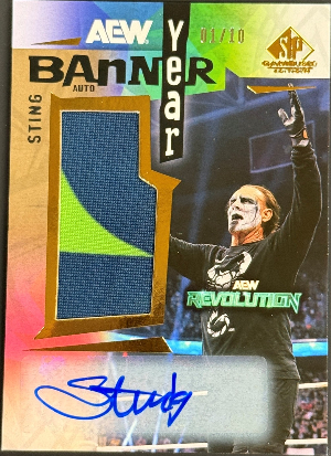 Banner Year Auto Event 2 Sting