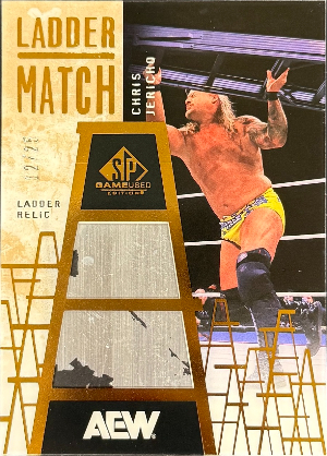 Ladder Match Relics Chris Jericho