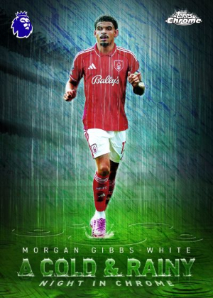 A Cold and Rainy Night in Chrome Morgan Gibbs-White MOCK UP