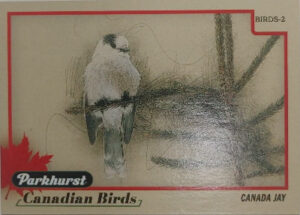 2025-26 Upper Deck Parkhurst Hockey Canadian Birds Canada Jay
