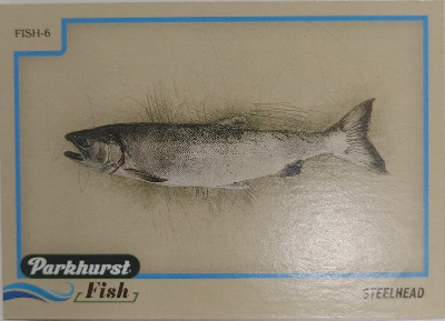 2025-26 Upper Deck Parkhurst Hockey Fish Steelhead 2025-26 Upper Deck Parkhurst Hockey Fish Steelhead